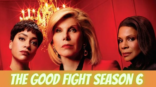 The Good Fight Season 6 (3)