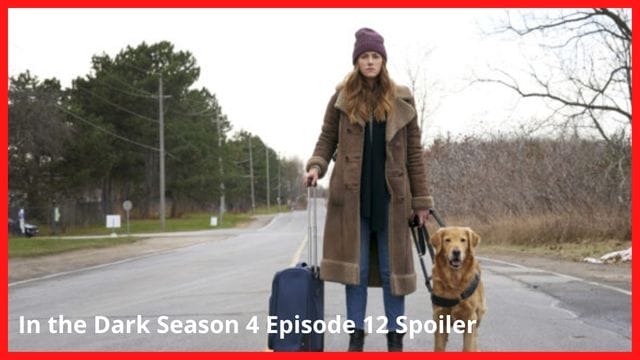 In the Dark Season 4 Episode 12 Spoiler