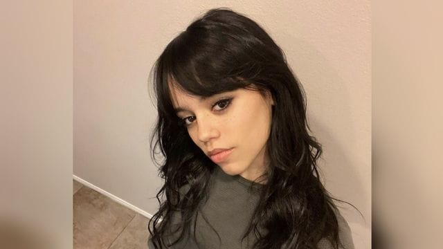 Jenna Ortega and Pete Davidson Dating Rumors: Fans Consider Dating Possibilities